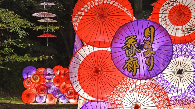 鬼怒川温泉　月あかり花回廊 第１７章